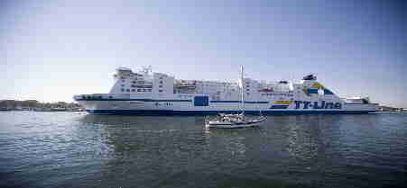 p1_peter_pan3_gross[1]